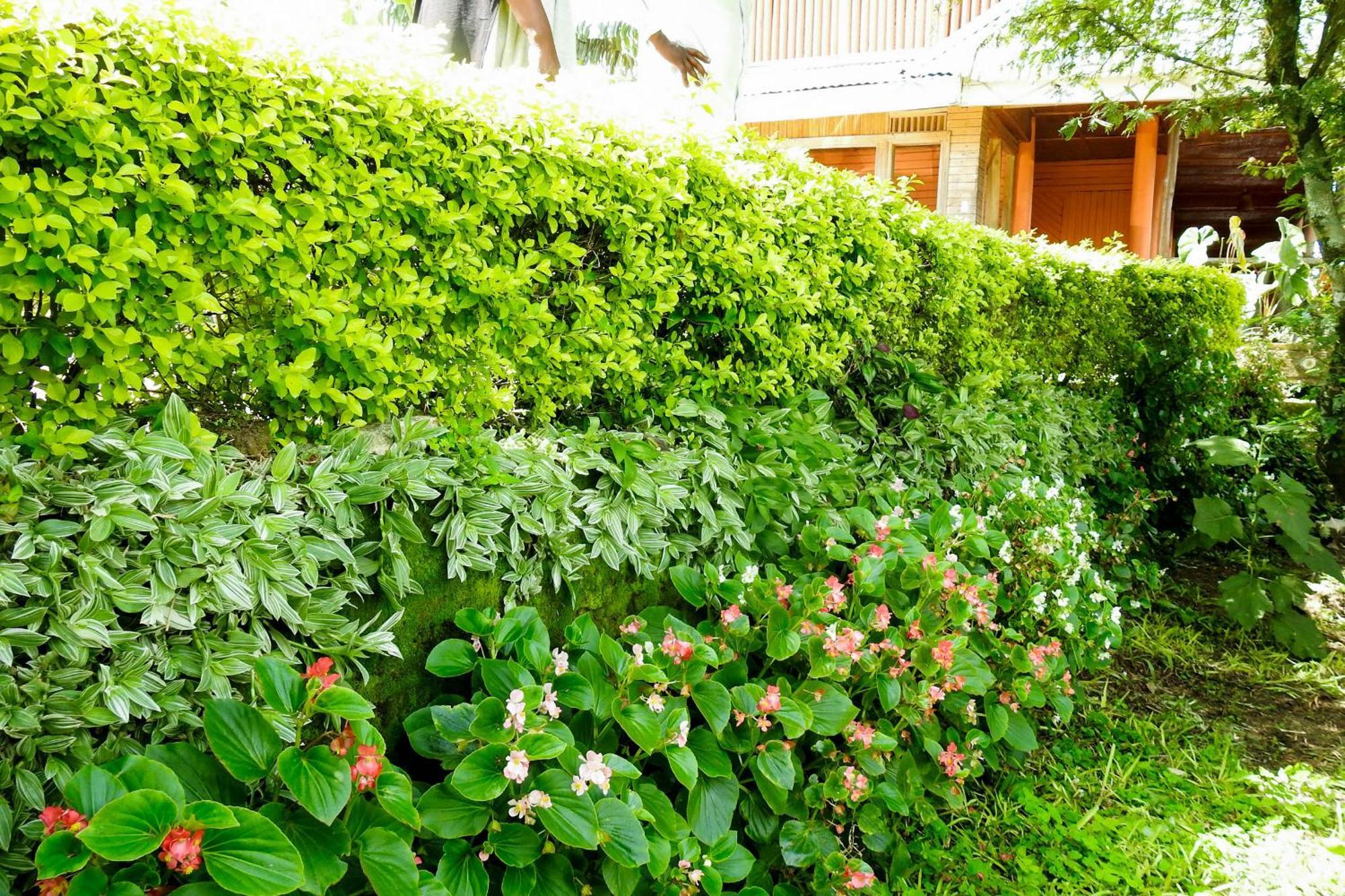 Westend Motel Fort Portal Eksteriør bilde